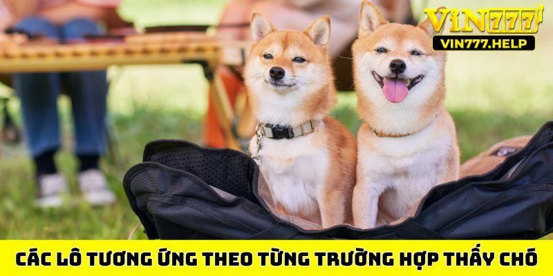 Các lô tương ứng theo từng trường hợp thấy chó