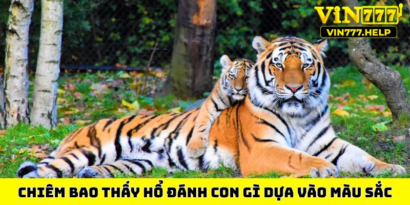Chiêm bao thấy hổ đánh con gì dựa vào màu sắc