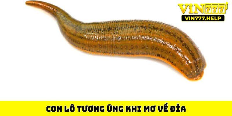 Con lô tương ứng khi mơ về đỉa