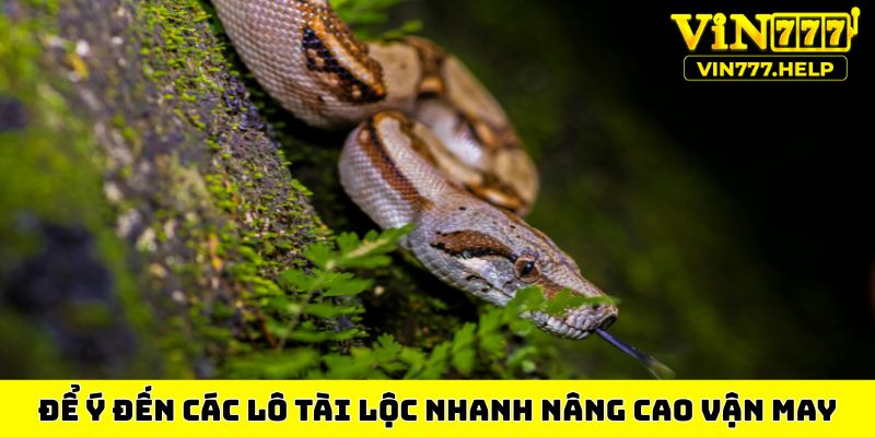 Để ý đến các lô tài lộc nhanh nâng cao vận may