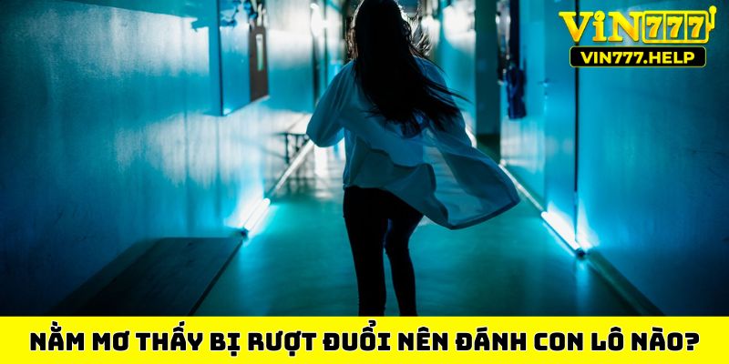 Nằm mơ thấy bị rượt đuổi nên đánh con lô nào?