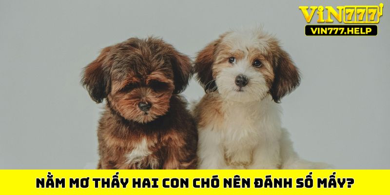 Nằm mơ thấy hai con chó nên đánh số mấy?