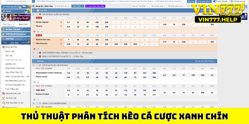Thủ thuật phân tích kèo cá cược xanh chín